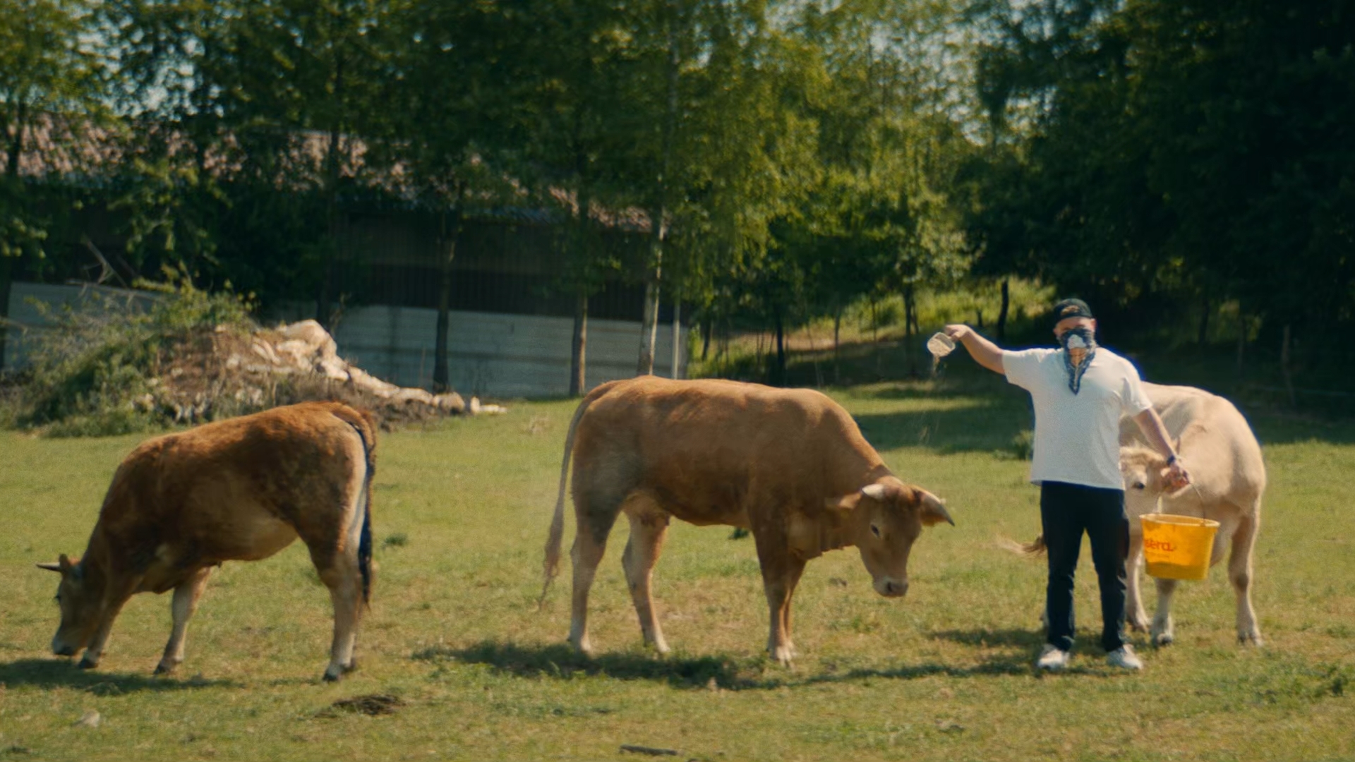 DIETMAR DIAMANT-OUREWELLER